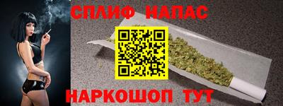 Альфа ПВП Дубна