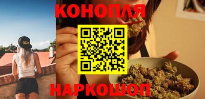 Альфа ПВП Дубна