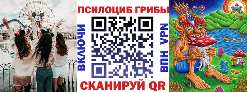Галлюциногенные грибы Psilocybine cubensis  Калининград 
