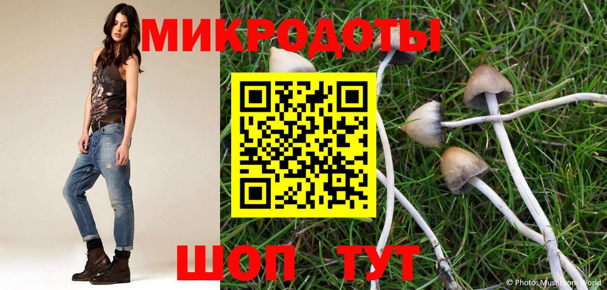 Псилоцибиновые грибы мицелий Калининград
