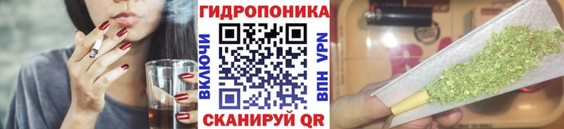 hydra как зайти купить наркотики сайты Калининград Шишки марихуана Amnesia